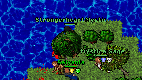 Strongerheart Mystic on screen