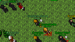 Golden Huta on screen