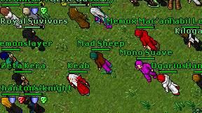 Mad Sheep on screen