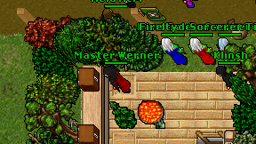 Master Werner on screen
