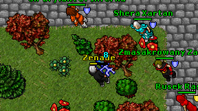 Zenade on screen