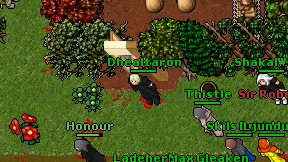 Dhealtaron on screen