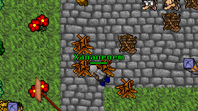 Xananenem on screen