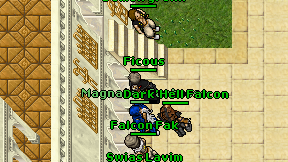 Ficous on screen