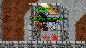 Holy arch mage on screen