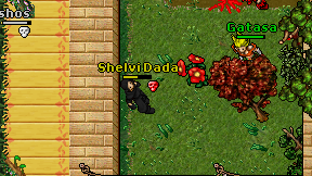 Shelvi Dada on screen