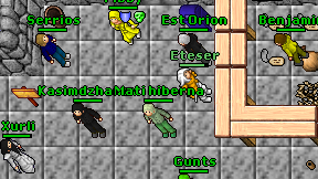 Mati hiberna on screen