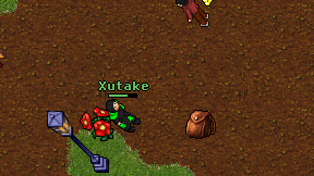 Xutake on screen