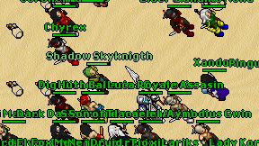 Shadow Skyknigth on screen