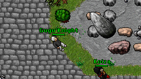 Gugu'Knight on screen