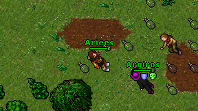 Ariees on screen