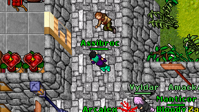 Assibroc on screen