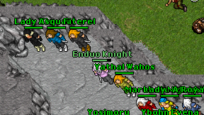 Enduo Knight on screen