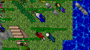 Druid cow on screen