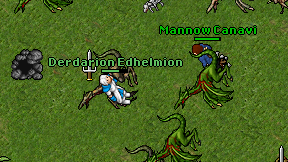 Derdarion Edhelmion on screen
