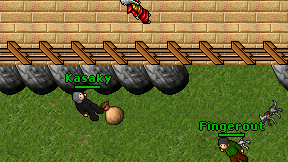 Kasaky on screen