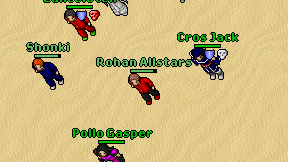 Rohan Allstars on screen