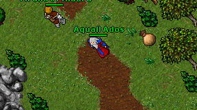 Aquall Ados on screen