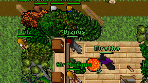 Diznos on screen