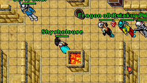Shysholouse on screen