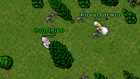 Colo Loko on screen