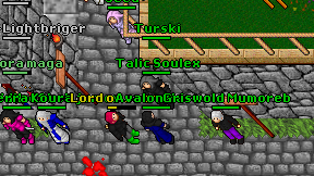 Avalon Hero on screen
