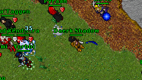 Daerk Shadow on screen