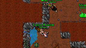 Tana Vanim on screen