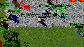 Kuba-Rozwalacz najlepszy on screen