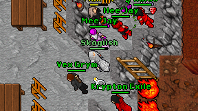 Skogiish on screen