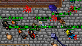 Shampie on screen