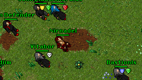 Nirnadel on screen