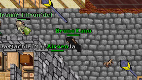 Bruno Kano on screen