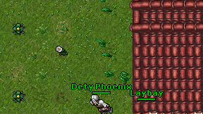 Dety Phoenix on screen