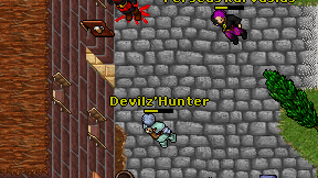 Devilz'Hunter on screen
