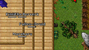 Fallen-Druid on screen