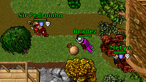 Bradez on screen