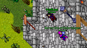 Nohas on screen