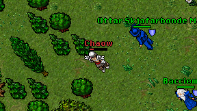 Chaow on screen