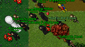 Nemafor on screen