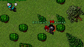 Kitty of darkness on screen