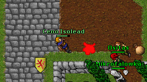 Ceno Isolead on screen