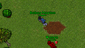 Bobos Maylon on screen