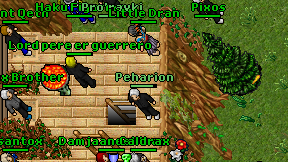 Little Dran on screen