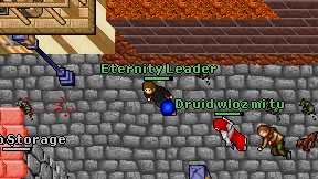 Eternity Leader on screen