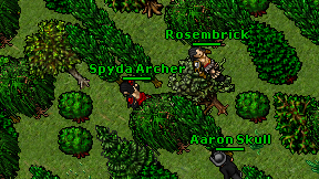 Spyda Archer on screen