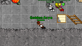 Golden Acya on screen
