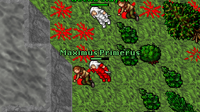 Maximus Primerus on screen