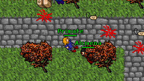 Primate on screen