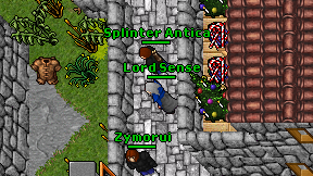 Lord Sense on screen